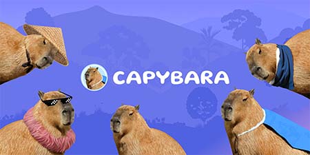 CapyBara - тапалка и кошелек от создателя Sui Network